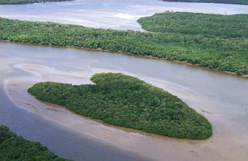 Đồng bằng sông Orinoco Đồng bằng sông Orinoco